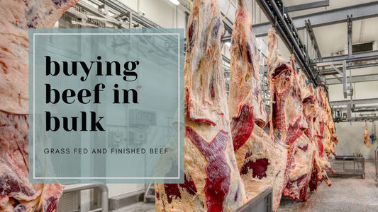 The Ultimate Guide to Buying Beef in Bulk: Advantages of a Freezer Full of Locally Sourced, Montana Grass-Finished Beef