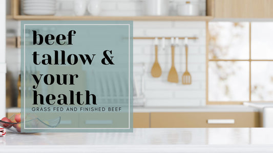 Gut Health, Skin Health and Beef Tallow