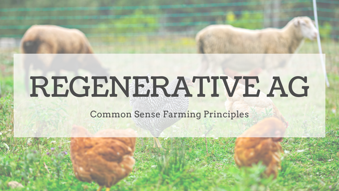 Principles of Common-Sense Regenerative Agriculture