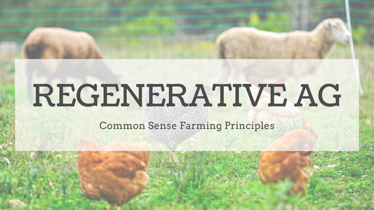 Principles of Common-Sense Regenerative Agriculture